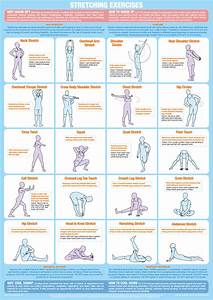  Exercise Chart Chartex