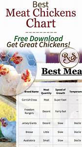 Best Meat Chickens Chart Meat Chickens Best Meat Meat Chickens Breeds