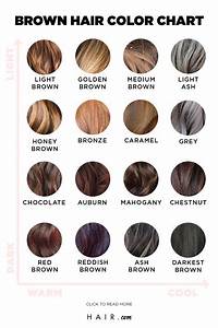 900 Hair Color Charts Ideas In 2021 Hair Color Hair Hair Styles