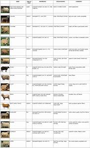 Selected Breeds Of Sheep