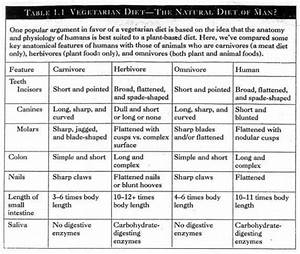 Mother Of Color Vegetarian Chart 8 Awful Ingredients And Protecting