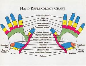 Reflexology Chart Buscar Con Google Reflexology Pinterest