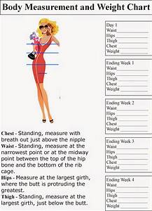 Muffins Vs Muffintop Body Measurement And Weight Chart 2