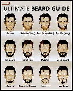 A Man 39 S Guide To Beard Infographics Beard Guide Grow Beard