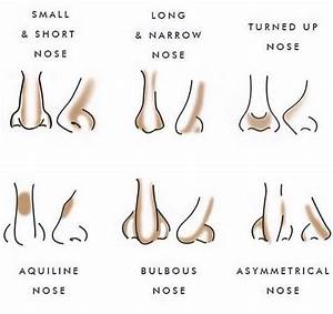 Nose Shapes Contouring Color Itt Pinterest Contours Shapes And