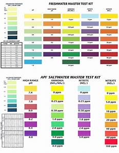 Api Test Kit Color Chart Results Michael 39 S Happy Fish