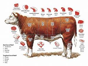 The Best And Worst Cuts Of Beef