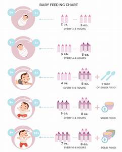 Baby Feeding Chart For The First Year Of Life