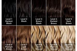 hair color levels a complete guide for you hair color chart