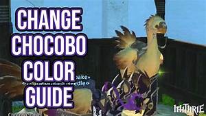 Ffxiv 2 35 0394 Change Chocobo Color Guide Youtube