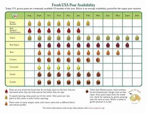 Availability Seasonality Usa Pears Trade Site
