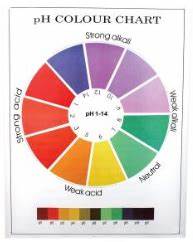 Ph Colour Chart Prince Valiant International