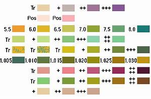 Urinalysis Color Chart Chronic Renal Failure Renal