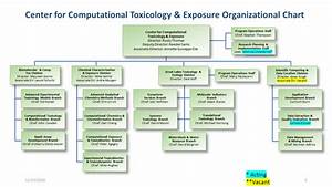Organization Chart For The Center For Computational Toxicology And