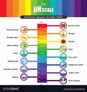Ph Scale Universal Indicator Color Chart Vector Image On Vectorstock