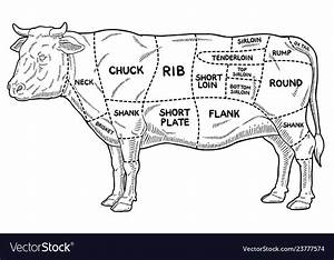 Cartoon Beef Meat Cuts Diagram Line Art Royalty Free Vector