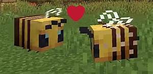 Minecraft Bees Guide Everything You Need To Know Gamezo
