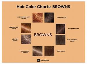 Find The Right Shade Of Brown Hair Colour For Glossy Brunette Locks In