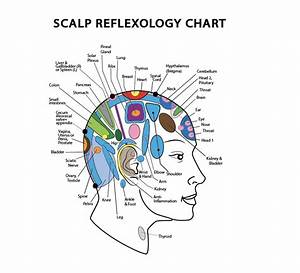 Scalp Reflexology Benefits And Uses Healthy Huemans