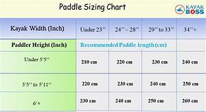 How Long Should A Kayak Paddle Be An In Depth Discussion Kayak Boss