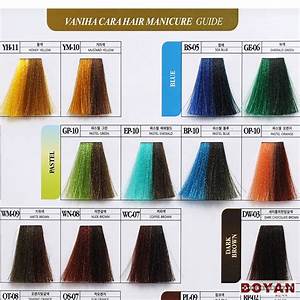 China Silky Human Hair Color Chart Hair Dye Color Reference Catalog