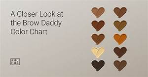 Brow Daddy Color Chart Explained Illustrated