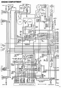 84 D150 Wiring Diagram For