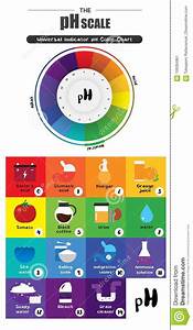The Ph Scale Universal Indicator Ph Color Chart Diagram Stock Vector