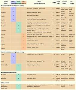 blueberry variety chart gardening self reliance pinterest