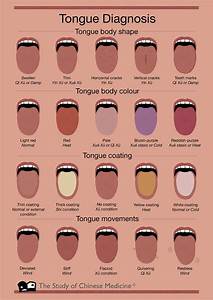 Tongue Diagnosis Chart Home