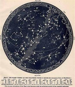 Cygnus Art Print Astronomy Poster The Swan Star Chart Space Astronomy
