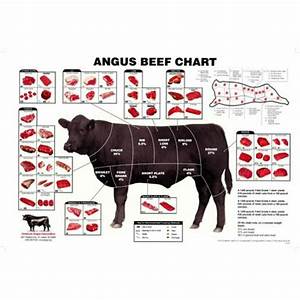 27x40 Angus Beef Chart Meat Cuts Diagram Poster Walmart Com