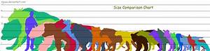 Animal Size Comparison Chart Quot Wild Quot Pinterest Cats Kid And The O