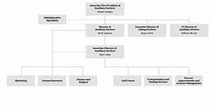 Organizational Chart About Us Auxiliary Services