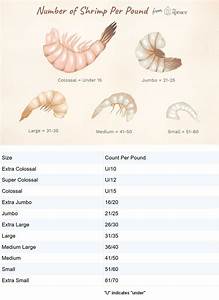 21 25 Count Shrimp Sizing Chart