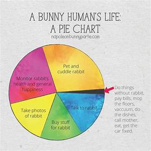 Bunny Pie Chart Pie Chart Rabbit Eating Rabbit Dishes