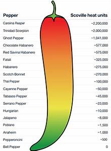 The Measure Of A Pepper Head And What Makes A Scoville Sauce