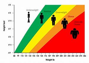 The Link Between Bmi Longevity 40fit