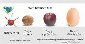 Visual Know The Size Volume Of Your Newborn Baby 39 S Stomach