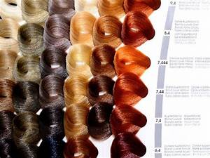Globelife Hair Color Charts Cartecor Italia Color Chart For Hair