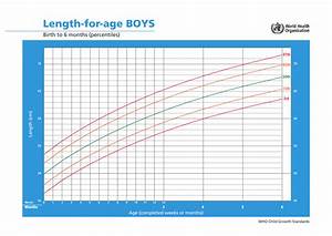 Who Boys Growth Chart Length For Age Birth To 6 Months Percentiles