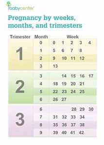 Chart On How Many Months Page 3 Babycenter