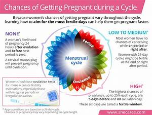 Chances Of Getting Around Period And Ovulation Shecares
