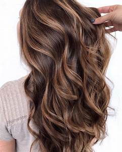 41 Top Pictures Honey Brown Highlights On Black Hair 20 Ideas Of