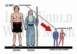 How Was Adam In The Bible Churchgists Com