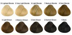 Hair Color Chart Levels Ideas Levels Of Hair Color Hair Color Chart
