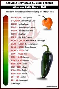 163 Best Images About Food Charts On Pinterest Different Types Of