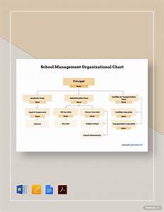 Free Easy Organizational Chart Template Of Organizational Chart 