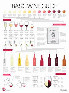 Beginners Guide To Wine