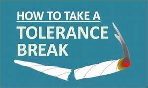 Cannabis Tolerance Break 7 Essential Steps And After Effects
